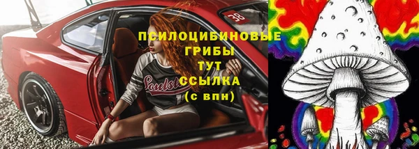 PSILOCYBIN Аркадак