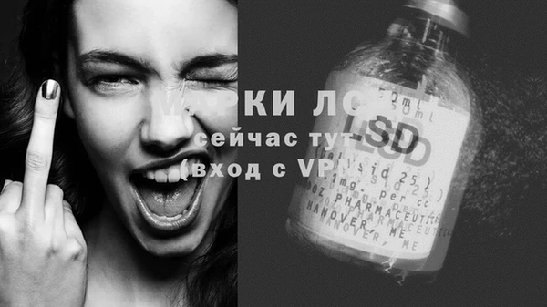 PSILOCYBIN Аркадак