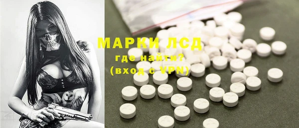 PSILOCYBIN Аркадак