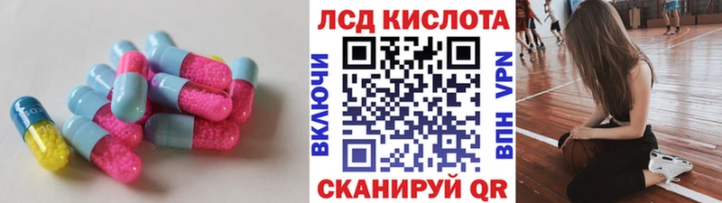 дарк нет клад  Богородск  ЛСД экстази ecstasy 