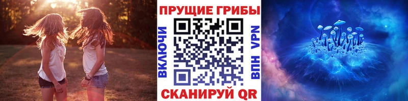 Псилоцибиновые грибы Psilocybe  купить  сайты  Богородск 